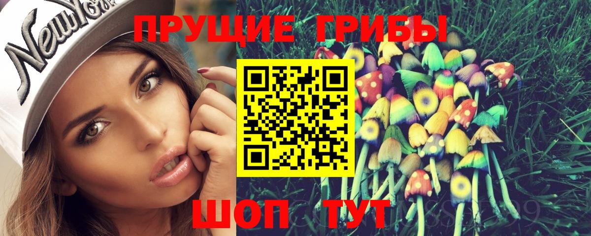 Галлюциногенные грибы Psilocybine cubensis  Галлюциногенные грибы Psilocybine cubensis  Тверь  Вход с VPN 