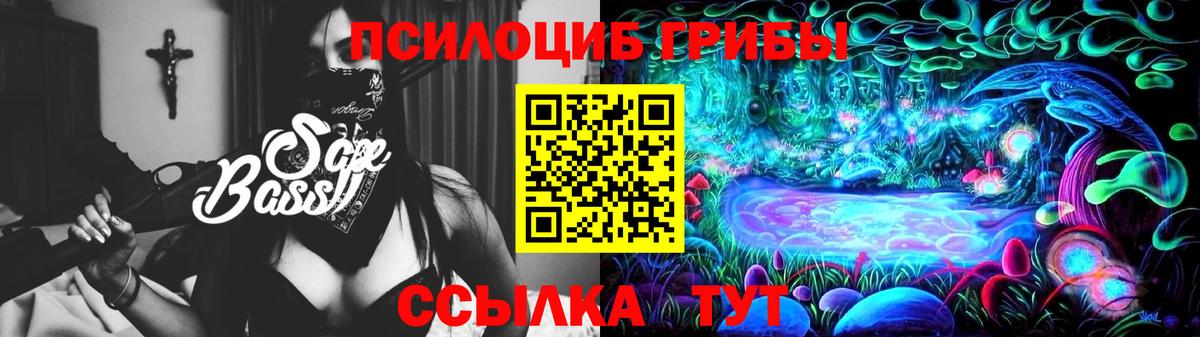 Галлюциногенные грибы мицелий Тверь